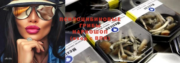 не бодяженный Нефтегорск