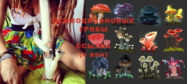 гашик Навашино